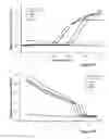 Fig. 03 - DIFFERENTIATING PICORNA VIRUSES, NUCLEIC ACIDS THEREFOR, USE THEREOF AND BIOASSAY METHODS EMPLOYING THEM