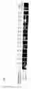Fig. 03 - Method and kit for detection of microorganism