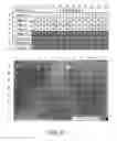 Fig. 22 - Expression vector for producing protein derived from foreign gene in large quantity using animal cells, and use thereof