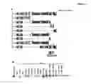 Fig. 02 - RECQL4/RECQL4 VARIANT-P53 COMPLEX FOR ALTERED MITOCHONDRIAL FUNCTION IN ROTHMUND-THOMSON SYNDROME