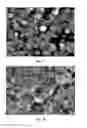 Fig. 15 - Composition and method for stabilizing fluorescent particles
