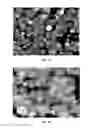 Fig. 16 - Composition and method for stabilizing fluorescent particles
