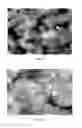 Fig. 17 - Composition and method for stabilizing fluorescent particles
