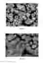 Fig. 18 - Composition and method for stabilizing fluorescent particles