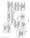 Fig. 02 - Compositions for use in identification of bacteria