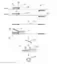 Fig. 01 - Mutation detection assay