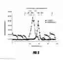 Fig. 11 - HOMEOSTATIC MULTIDOMAIN PROTEIN, AND USES FOR IT