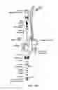 Fig. 19 - Microfluidic cartridge