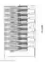 Fig. 38 - Microfluidic cartridge