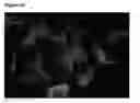 Fig. 21 - Neural progenitor cells derived from embryonic stem cells