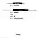 Fig. 02 - RNA sequence-specific mediators of RNA interference