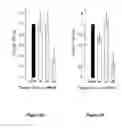 Fig. 03 - RNA sequence-specific mediators of RNA interference