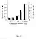 Fig. 05 - RNA sequence-specific mediators of RNA interference