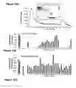 Fig. 14 - RNA sequence-specific mediators of RNA interference