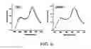 Fig. 15 - Bacterial quorum sensing biosensor