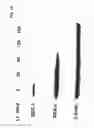 Fig. 02 - Use of lymphocytes to measure anthrax lethal toxin activity