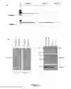 Fig. 09 - Monclonal antibodies, hybridomas and methods for use