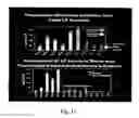 Fig. 14 - Detection of anthrax pathogenicity factors