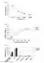 Fig. 02 - ANTI-PSK ANTIBODY