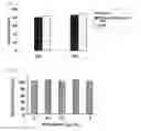 Fig. 03 - ANTI-PSK ANTIBODY