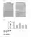 Fig. 08 - ANTI-PSK ANTIBODY