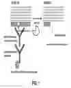 Fig. 02 - Cleavage sensitive antibodies and methods of use thereof