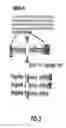 Fig. 03 - Cleavage sensitive antibodies and methods of use thereof
