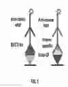 Fig. 06 - Cleavage sensitive antibodies and methods of use thereof