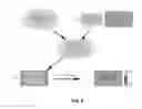 Fig. 05 - Devices for the detection of the presence and/or activity of proteases in biological samples