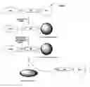 Fig. 01 - Self-immolative probes for enzyme activity detection