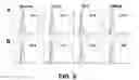 Fig. 12 - Self-immolative probes for enzyme activity detection