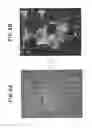 Fig. 10 - TECHNIQUE FOR DETERMINING MATURITY OF A CELL AGGREGATION, IMAGE PROCESSING PROGRAM AND IMAGE PROCESSING DEVICE USING THE TECHNIQUE, AND METHOD FOR PRODUCING A CELL AGGREGATION