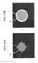Fig. 14 - TECHNIQUE FOR DETERMINING MATURITY OF A CELL AGGREGATION, IMAGE PROCESSING PROGRAM AND IMAGE PROCESSING DEVICE USING THE TECHNIQUE, AND METHOD FOR PRODUCING A CELL AGGREGATION