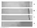 Fig. 01 - Stabilization method for biological samples by combination of heating and chemical fixation