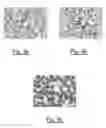 Fig. 04 - Cytological or histological binding composition and staining methods