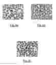 Fig. 06 - Cytological or histological binding composition and staining methods