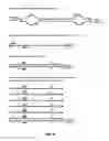 Fig. 06 - Sorting Asymmetrically Tagged Nucleic Acids by Selective Primer Extension