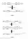 Fig. 15 - Sorting Asymmetrically Tagged Nucleic Acids by Selective Primer Extension