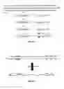 Fig. 16 - Sorting Asymmetrically Tagged Nucleic Acids by Selective Primer Extension