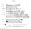 Fig. 06 - Cellulase Cel5H related reagents and their use in microorganisms