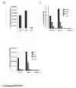 Fig. 03 - Viral infection enhancing peptide