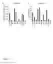 Fig. 04 - Viral infection enhancing peptide