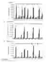 Fig. 11 - Viral infection enhancing peptide