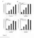 Fig. 17 - Viral infection enhancing peptide