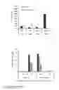 Fig. 23 - Viral infection enhancing peptide