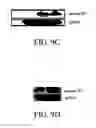 Fig. 11 - Chimeric viruses presenting non-native surface proteins and uses thereof