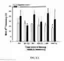 Fig. 07 - Lactobacillus Mutant