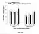Fig. 12 - Lactobacillus Mutant