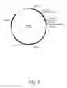 Fig. 03 - Methods for producing secreted polypeptides