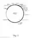 Fig. 04 - Methods for producing secreted polypeptides